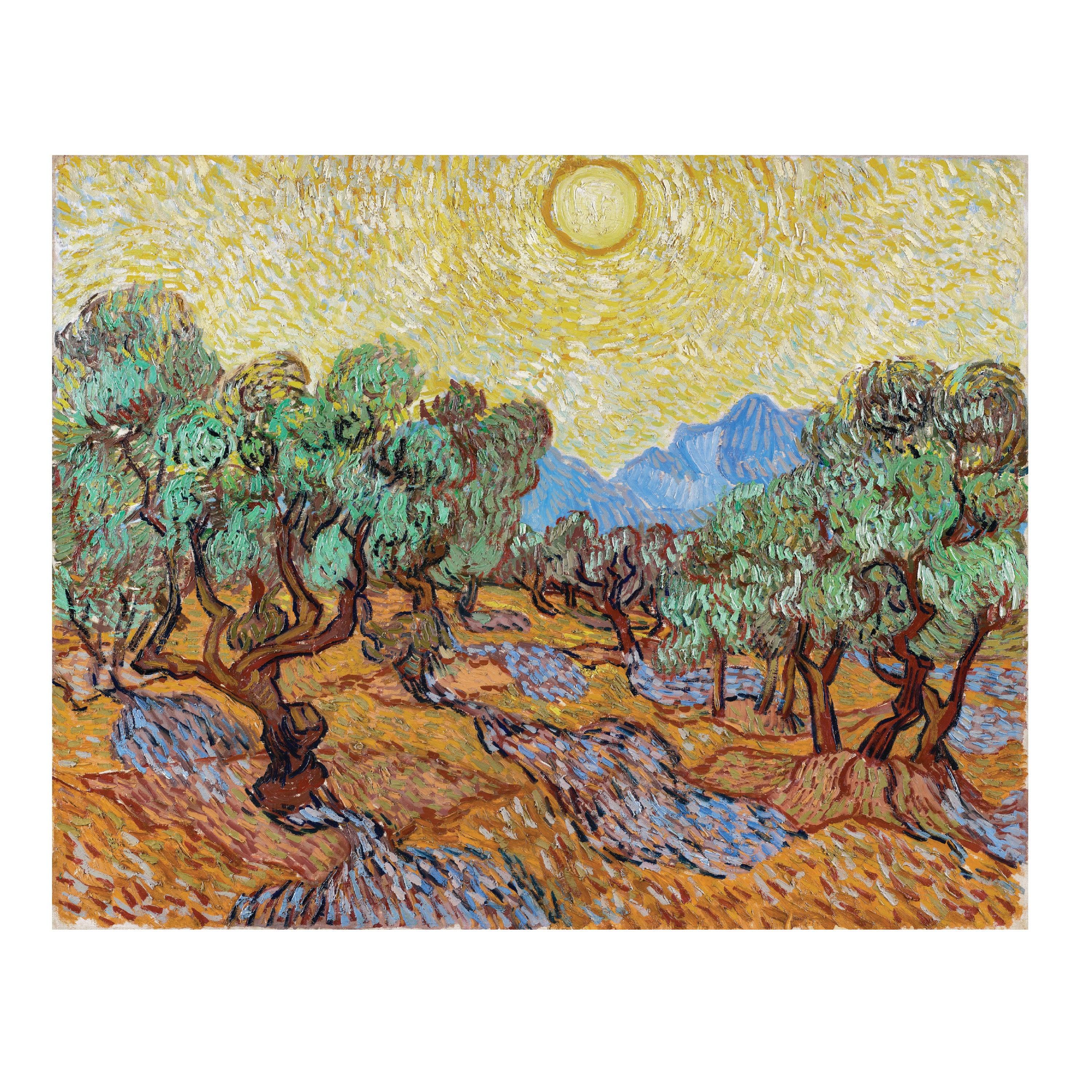 Loopy Impressions Van Gogh's Olive Trees